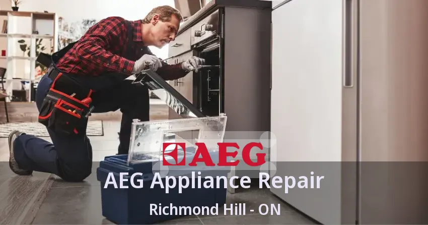 AEG Appliance Repair Richmond Hill - ON