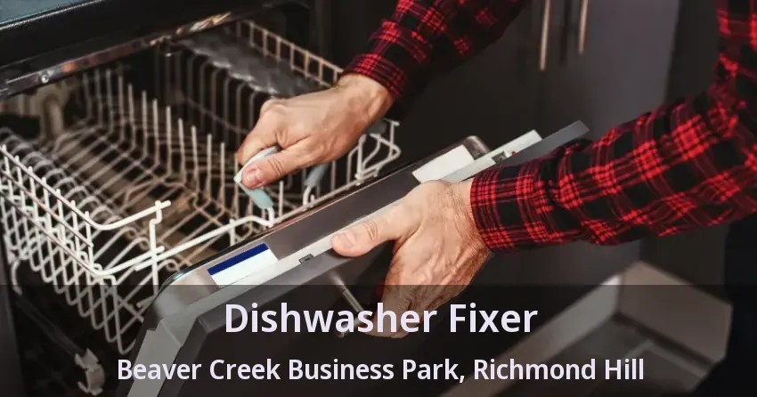 Dishwasher Fixer Beaver Creek Business Park, Richmond Hill - ON