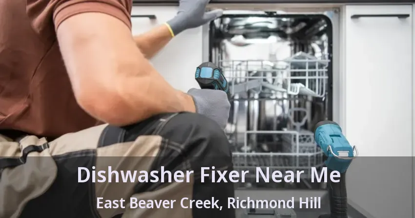 Dishwasher Fixer Near Me East Beaver Creek, Richmond Hill - ON