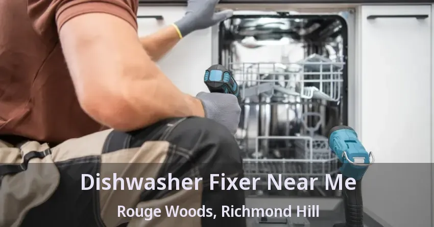 Dishwasher Fixer Near Me Rouge Woods, Richmond Hill - ON