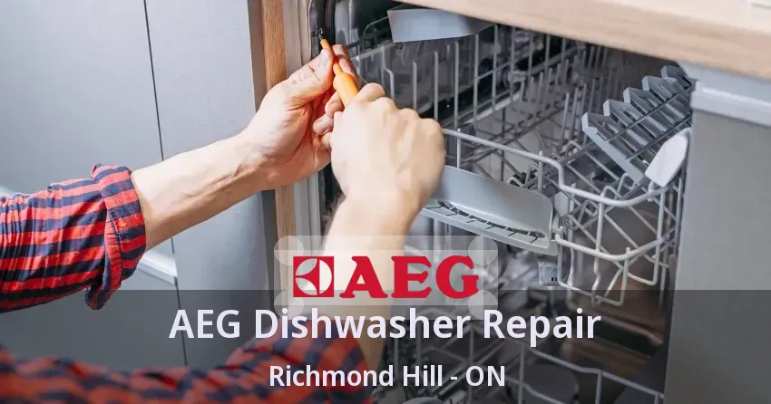 AEG Dishwasher Repair Richmond Hill - ON