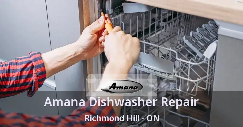 Amana Dishwasher Repair Richmond Hill - ON