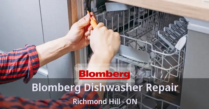 Blomberg Dishwasher Repair Richmond Hill - ON