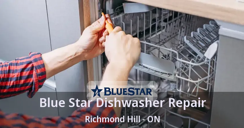 Blue Star Dishwasher Repair Richmond Hill - ON