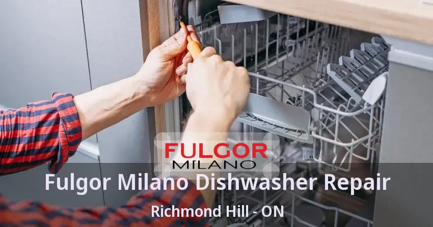 Fulgor Milano Dishwasher Repair Richmond Hill - ON