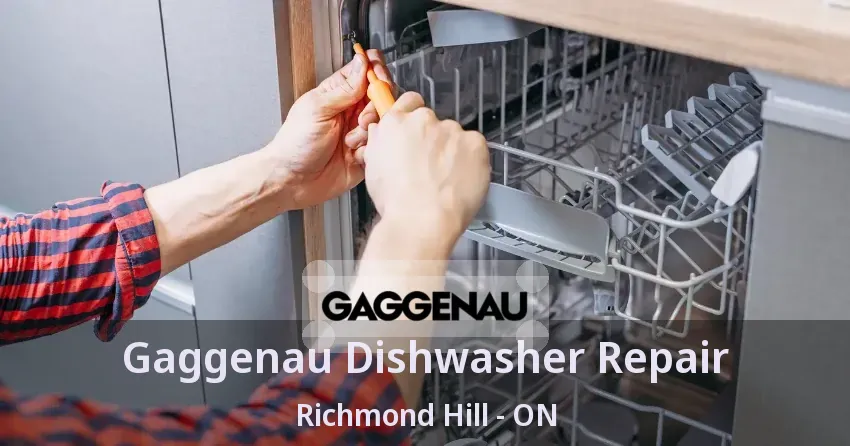 Gaggenau Dishwasher Repair Richmond Hill - ON