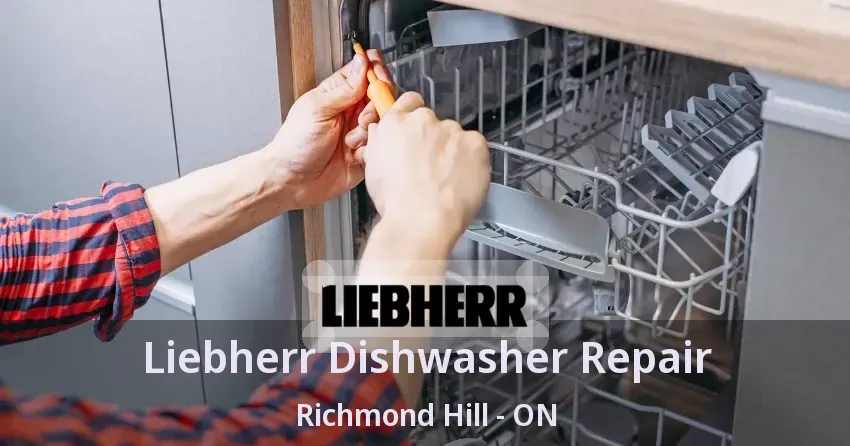 Liebherr Dishwasher Repair Richmond Hill - ON