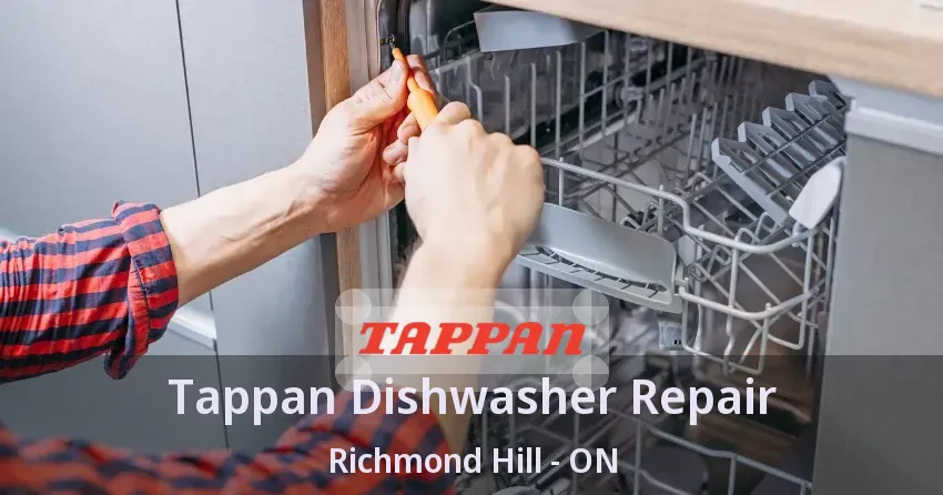 Tappan Dishwasher Repair Richmond Hill - ON