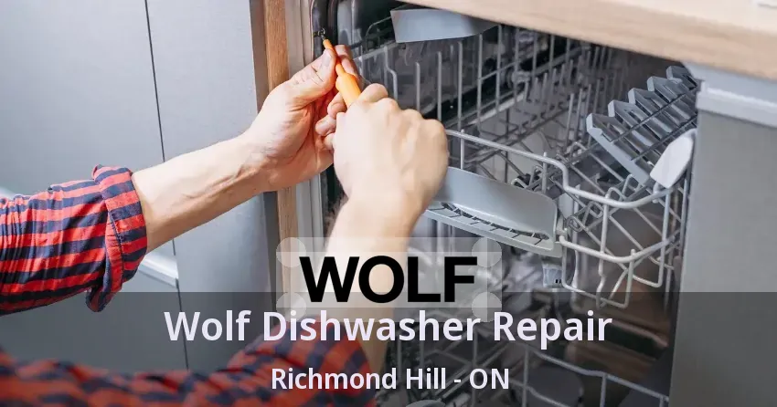 Wolf Dishwasher Repair Richmond Hill - ON