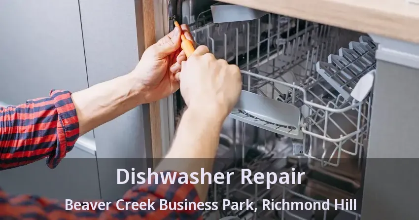 Dishwasher Repair Beaver Creek Business Park, Richmond Hill - ON