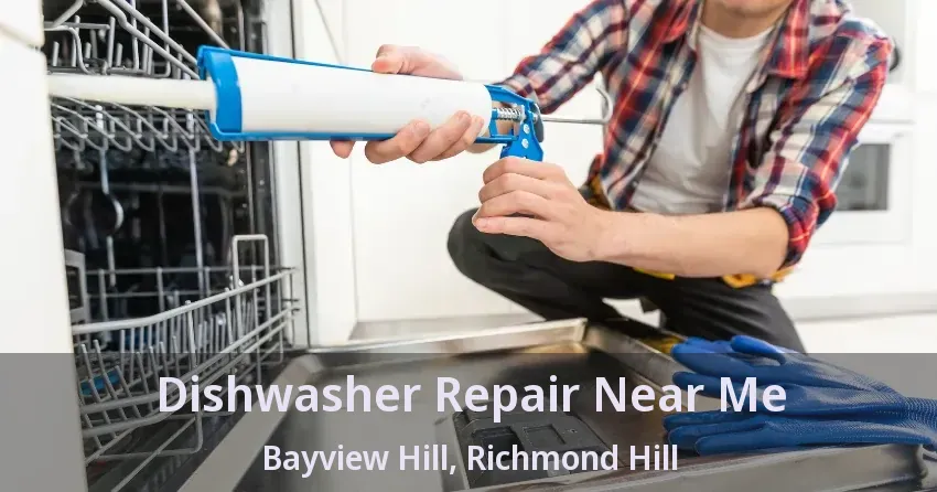 Dishwasher Repair Near Me Bayview Hill, Richmond Hill - ON
