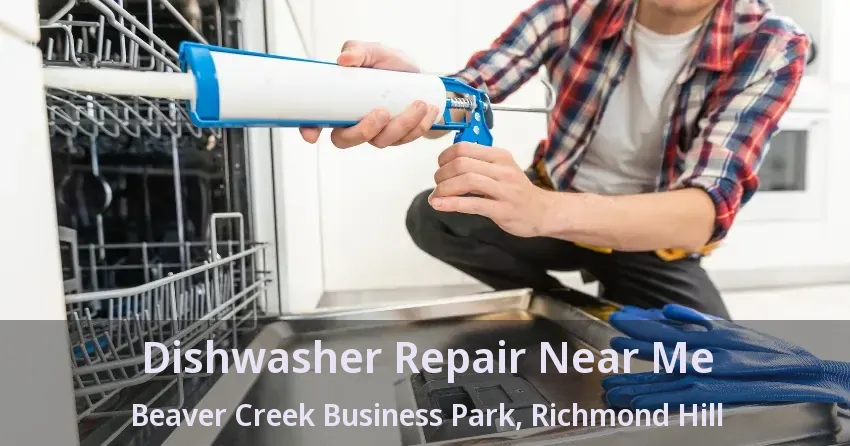 Dishwasher Repair Near Me Beaver Creek Business Park, Richmond Hill - ON