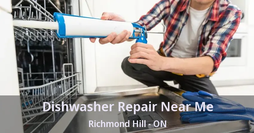Dishwasher Repair Near Me Richmond Hill - ON