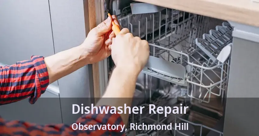 Dishwasher Repair Observatory, Richmond Hill - ON