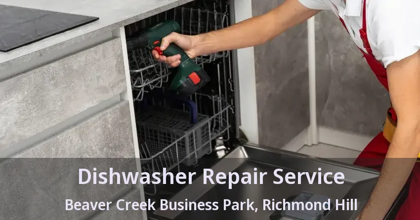 Dishwasher Repair Service Beaver Creek Business Park, Richmond Hill - ON