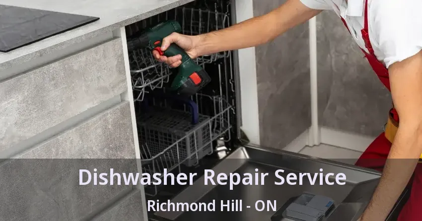Dishwasher Repair Service Richmond Hill - ON