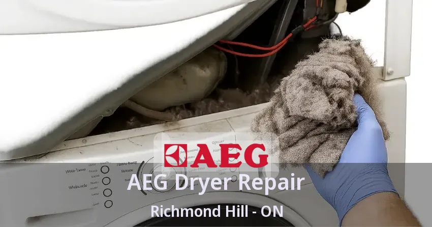 AEG Dryer Repair Richmond Hill - ON