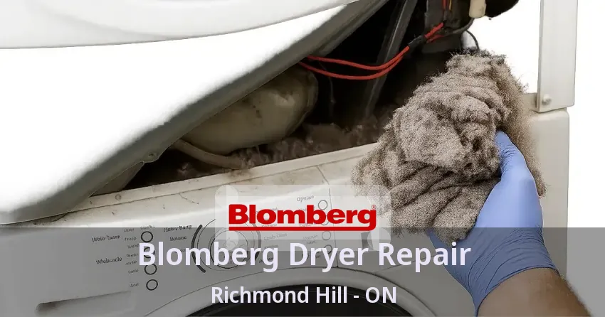 Blomberg Dryer Repair Richmond Hill - ON