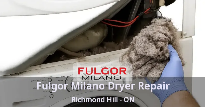 Fulgor Milano Dryer Repair Richmond Hill - ON