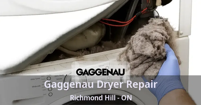 Gaggenau Dryer Repair Richmond Hill - ON