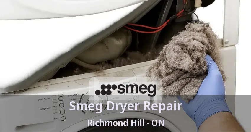 Smeg Dryer Repair Richmond Hill - ON