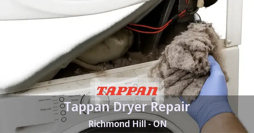 Tappan Dryer Repair Richmond Hill - ON