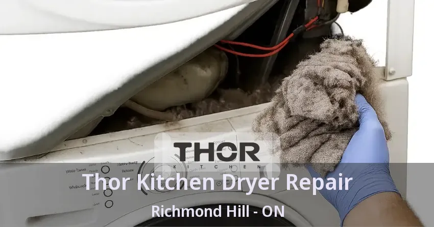Thor Kitchen Dryer Repair Richmond Hill - ON