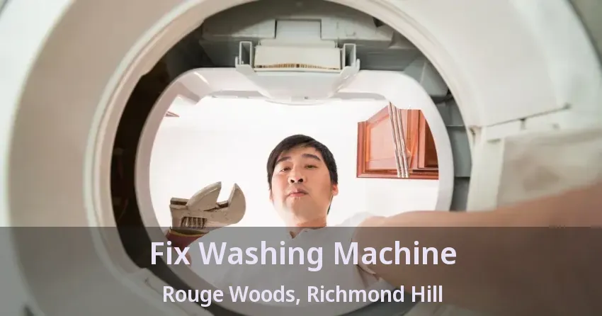 Fix Washing Machine Rouge Woods, Richmond Hill - ON
