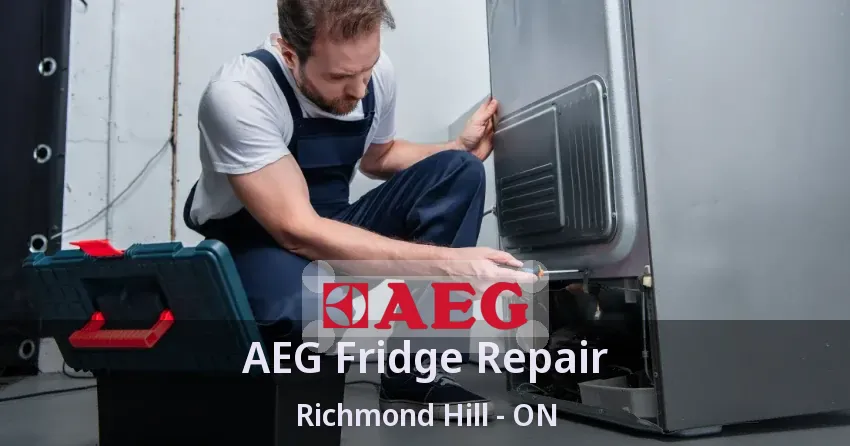 AEG Fridge Repair Richmond Hill - ON