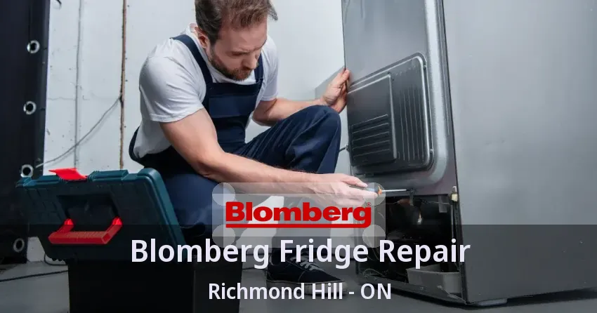 Blomberg Fridge Repair Richmond Hill - ON