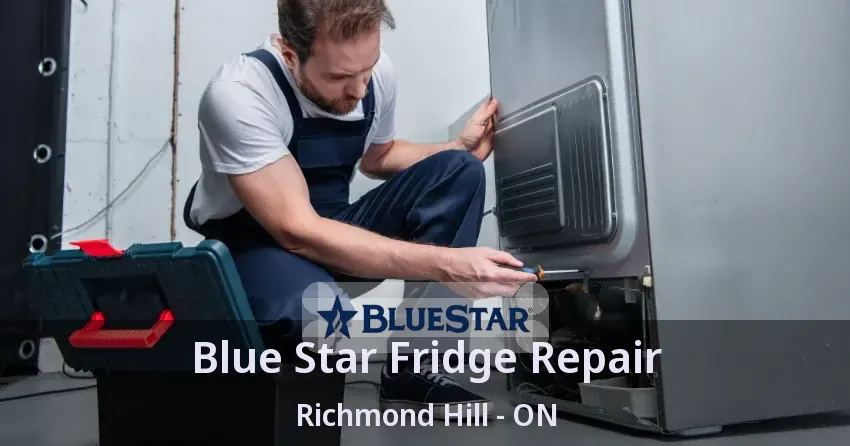 Blue Star Fridge Repair Richmond Hill - ON