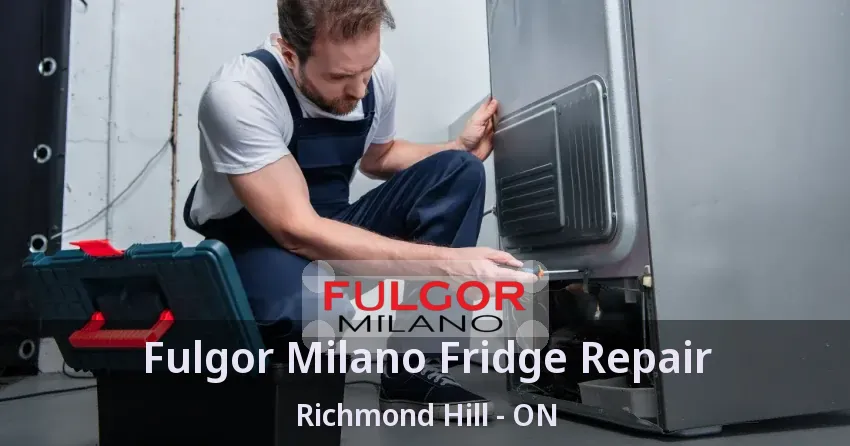 Fulgor Milano Fridge Repair Richmond Hill - ON