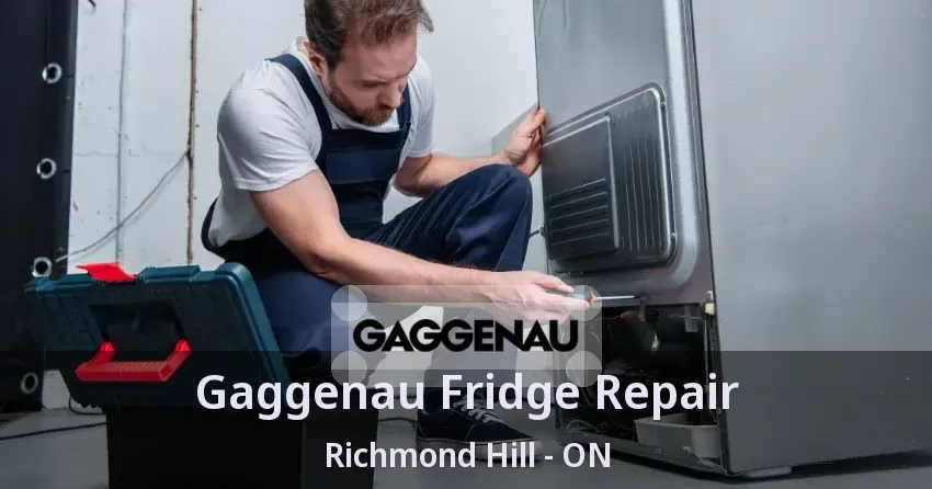 Gaggenau Fridge Repair Richmond Hill - ON