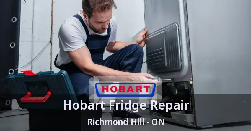 Hobart Fridge Repair Richmond Hill - ON