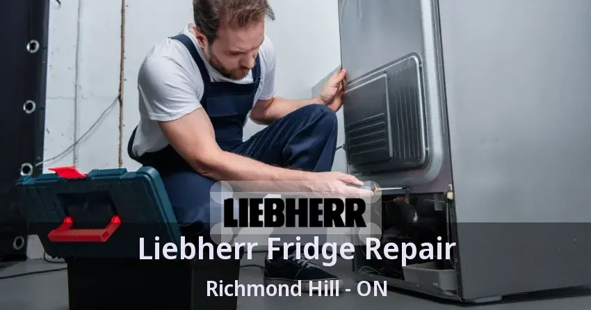 Liebherr Fridge Repair Richmond Hill - ON