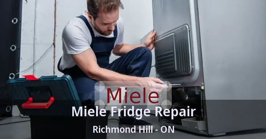 Miele Fridge Repair Richmond Hill - ON