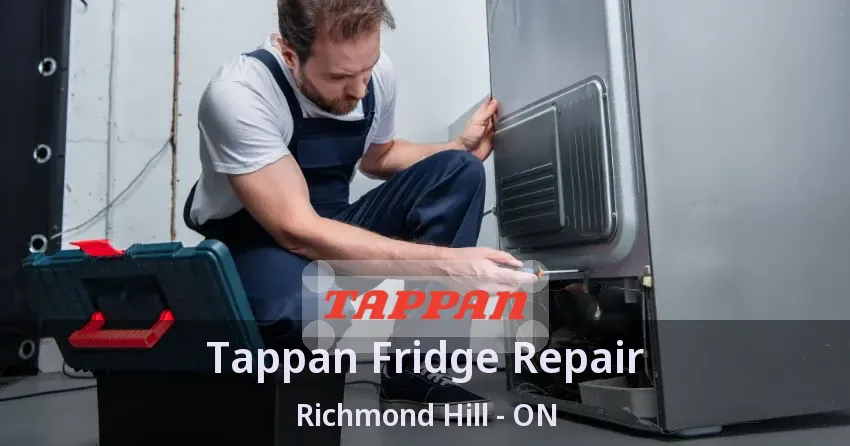 Tappan Fridge Repair Richmond Hill - ON