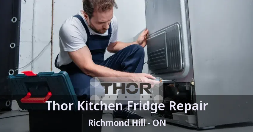 Thor Kitchen Fridge Repair Richmond Hill - ON