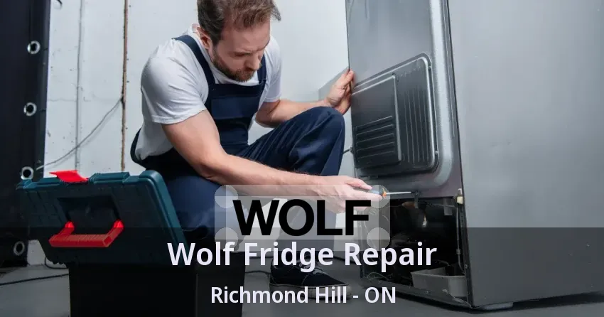 Wolf Fridge Repair Richmond Hill - ON