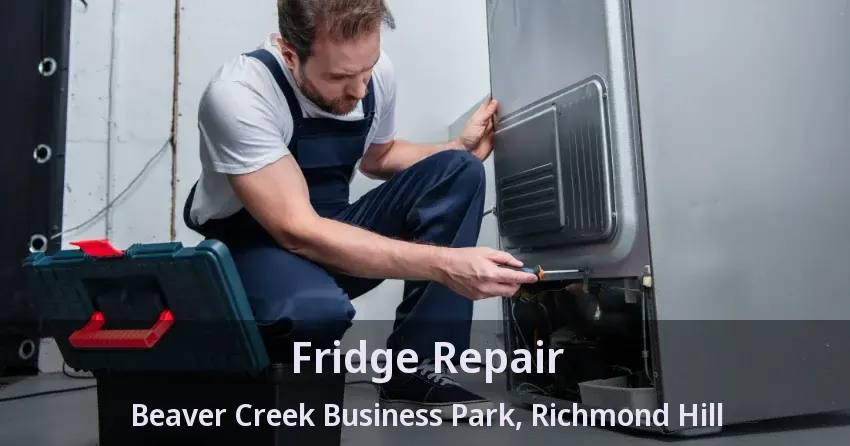 Fridge Repair Beaver Creek Business Park, Richmond Hill - ON