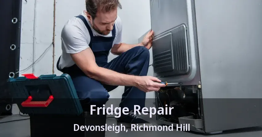 Fridge Repair Devonsleigh, Richmond Hill - ON