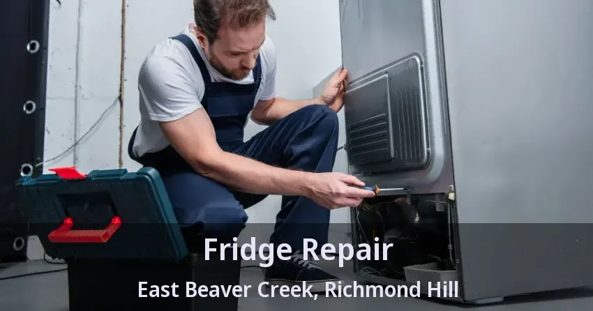 Fridge Repair East Beaver Creek, Richmond Hill - ON