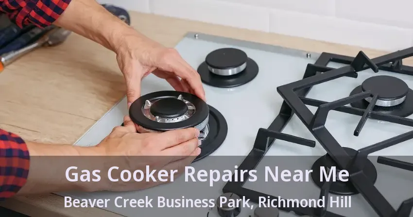 Gas Cooker Repairs Near Me Beaver Creek Business Park, Richmond Hill - ON