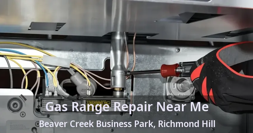 Gas Range Repair Near Me Beaver Creek Business Park, Richmond Hill - ON