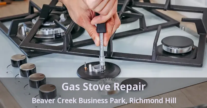 Gas Stove Repair Beaver Creek Business Park, Richmond Hill - ON