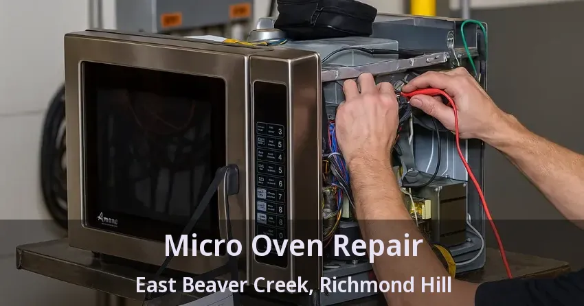 Micro Oven Repair East Beaver Creek, Richmond Hill - ON
