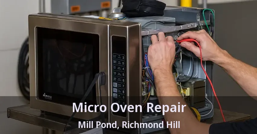 Micro Oven Repair Mill Pond, Richmond Hill - ON