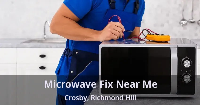 Microwave Fix Near Me Crosby, Richmond Hill - ON