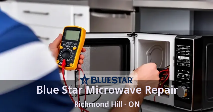 Blue Star Microwave Repair Richmond Hill - ON