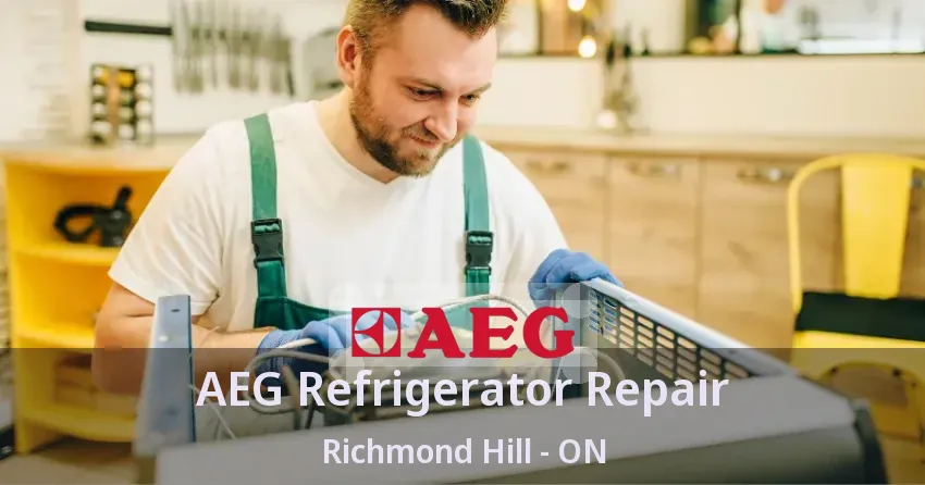 AEG Refrigerator Repair Richmond Hill - ON